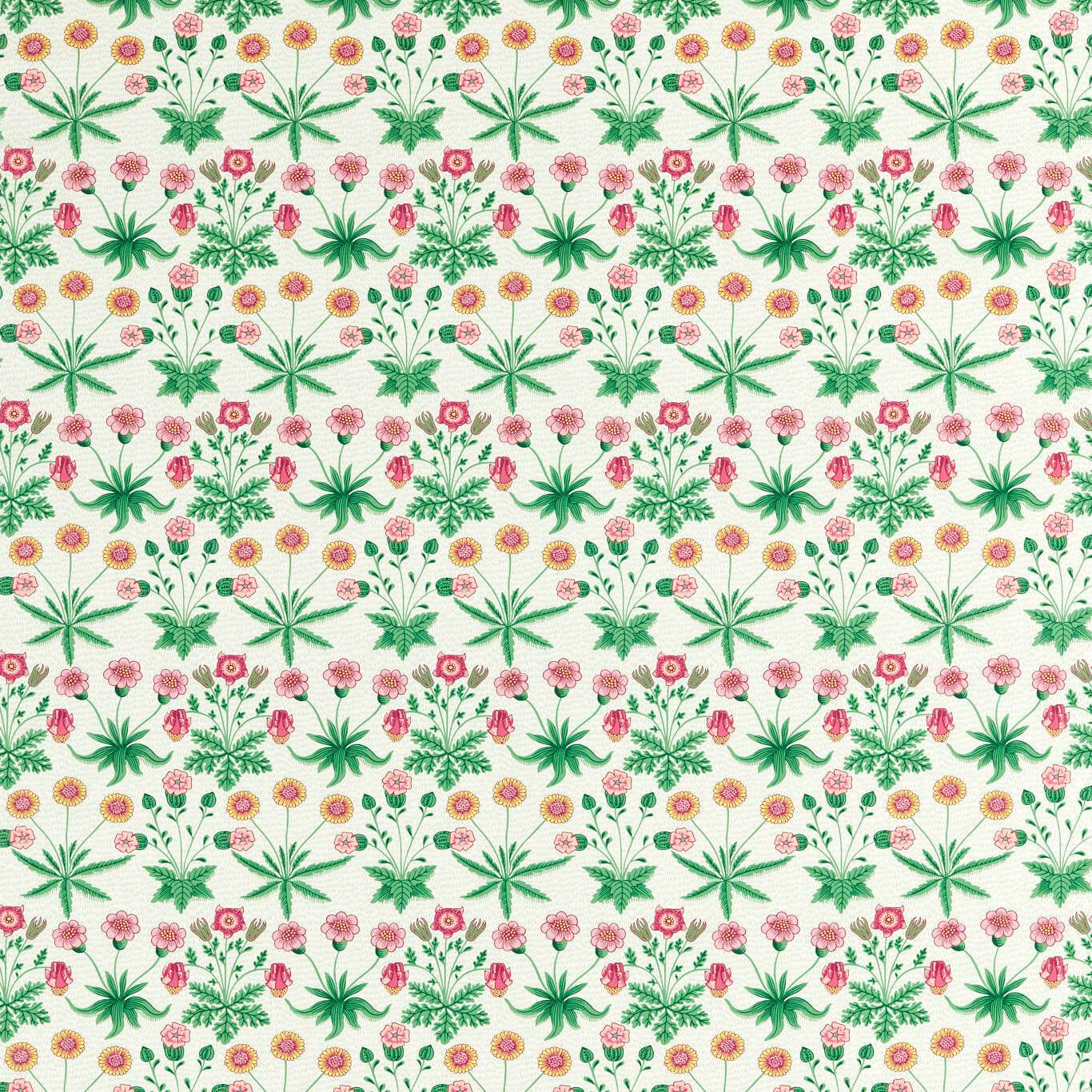 Daisy Strawberry Fields
