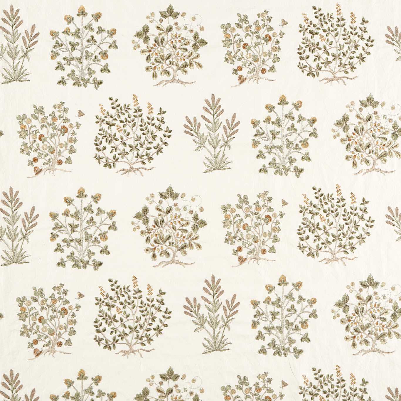 Thyme Walk Lichen/Gooseberry