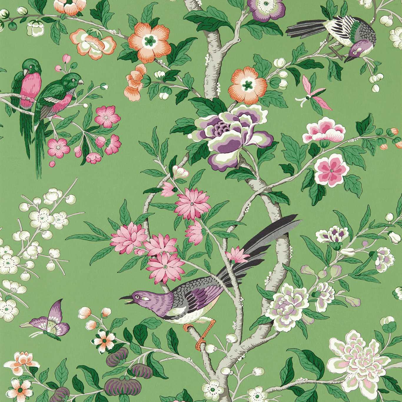 Chinoiserie Hall Chinese Green/Lotus Pink