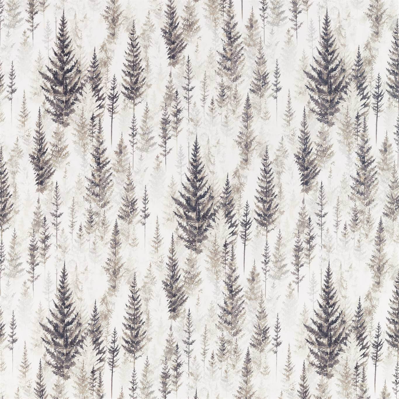 Juniper Pine Elder Bark