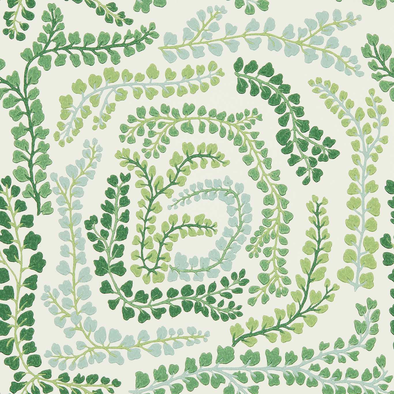 Fayola Clover/Chalk