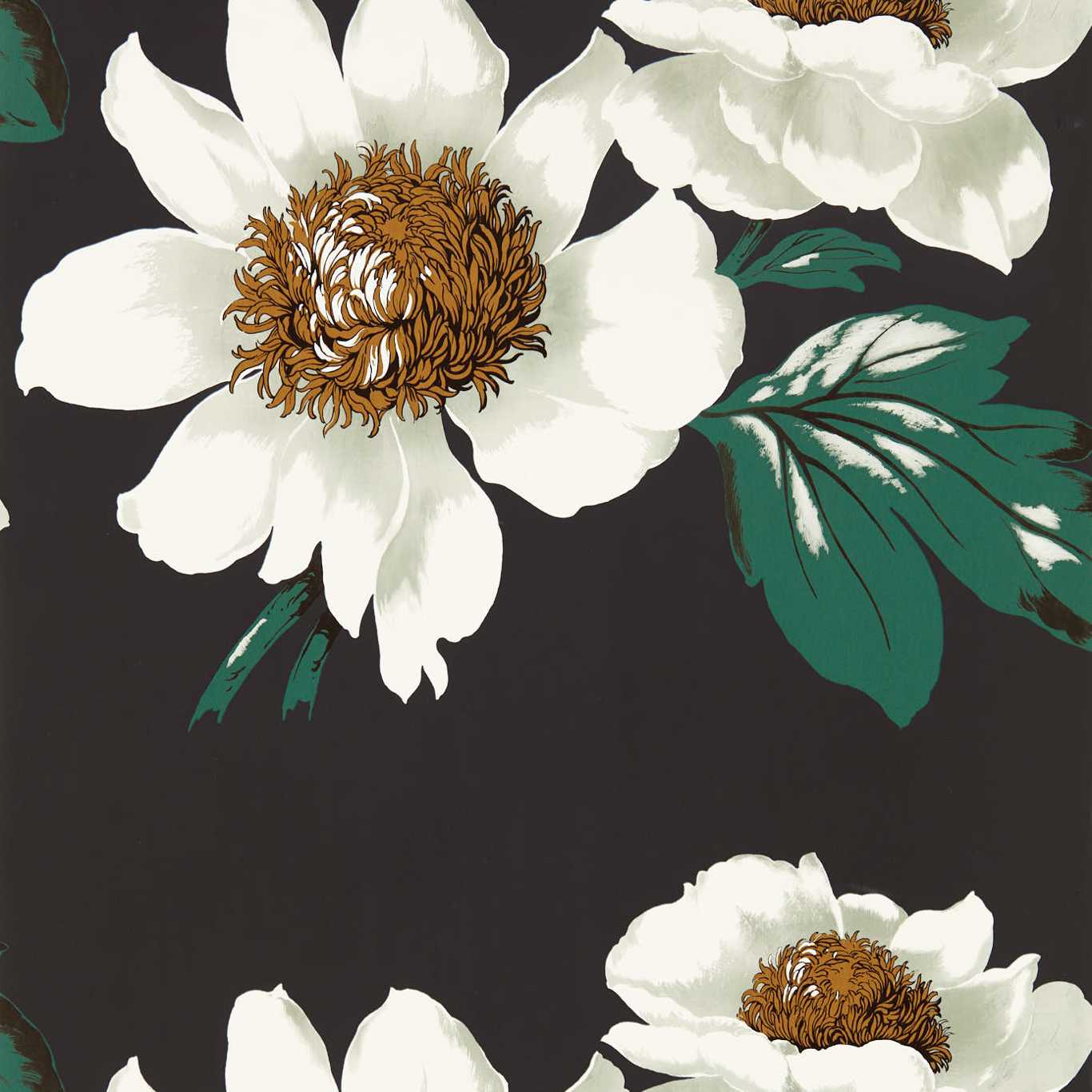 Paeonia Black Earth/Fig Leaf/ Gold