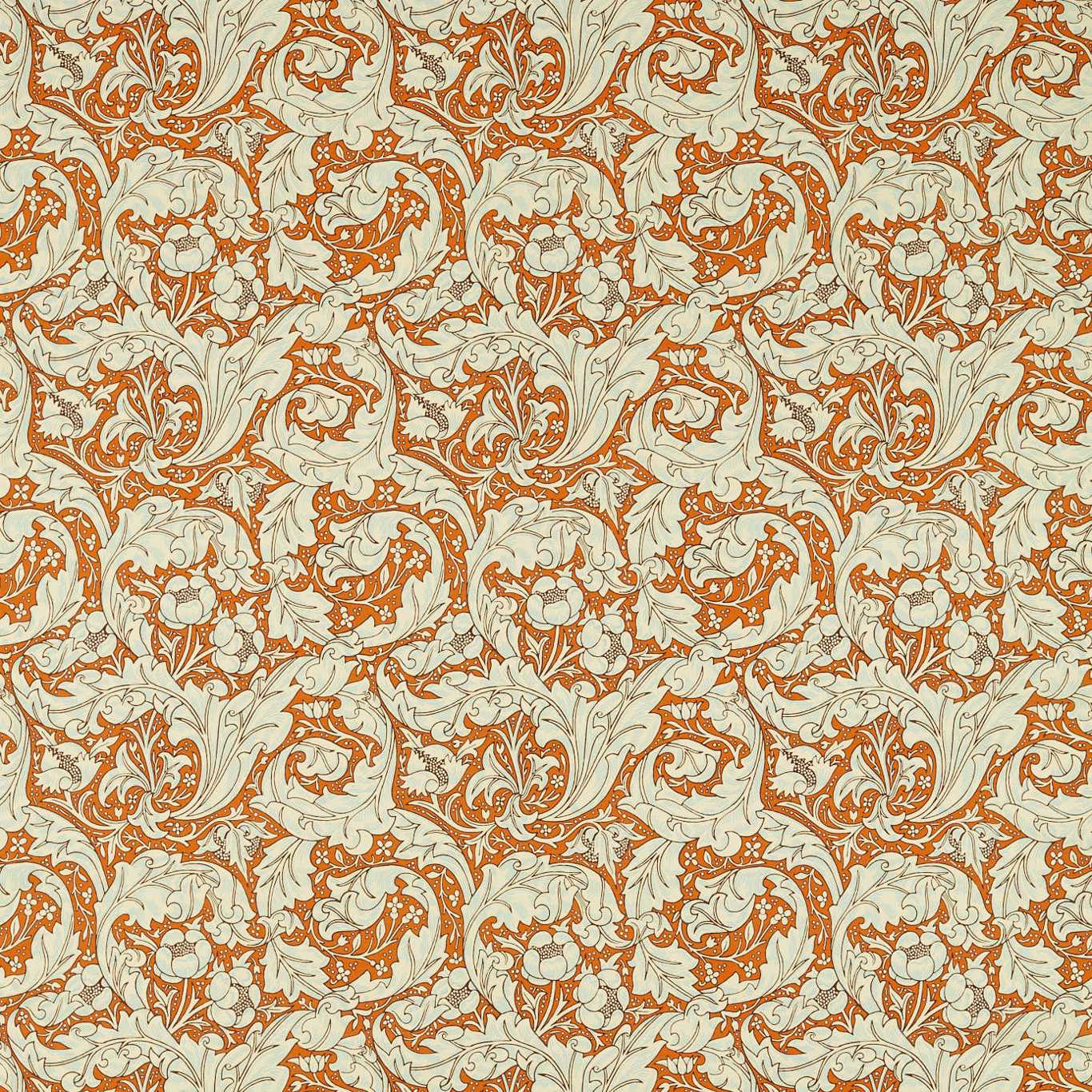 Bachelors Button Burnt Orange/Sky