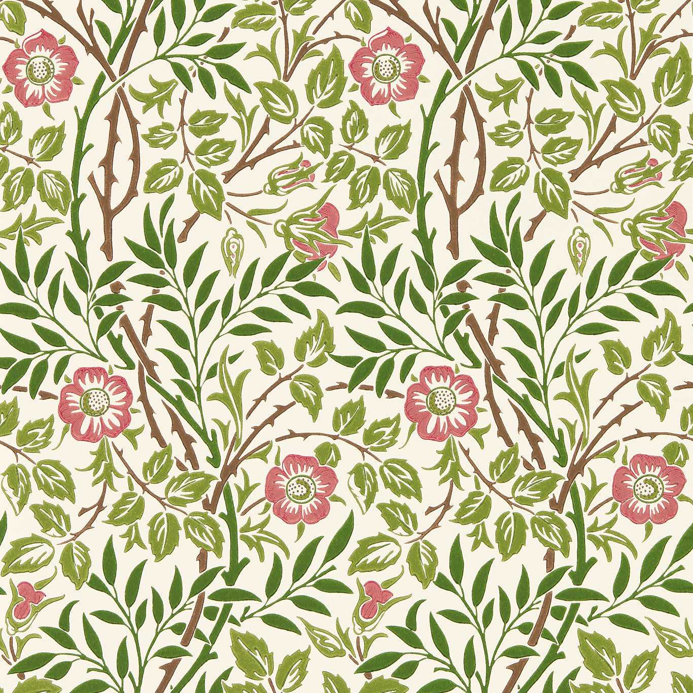 Sweet Briar Boughs/Rose