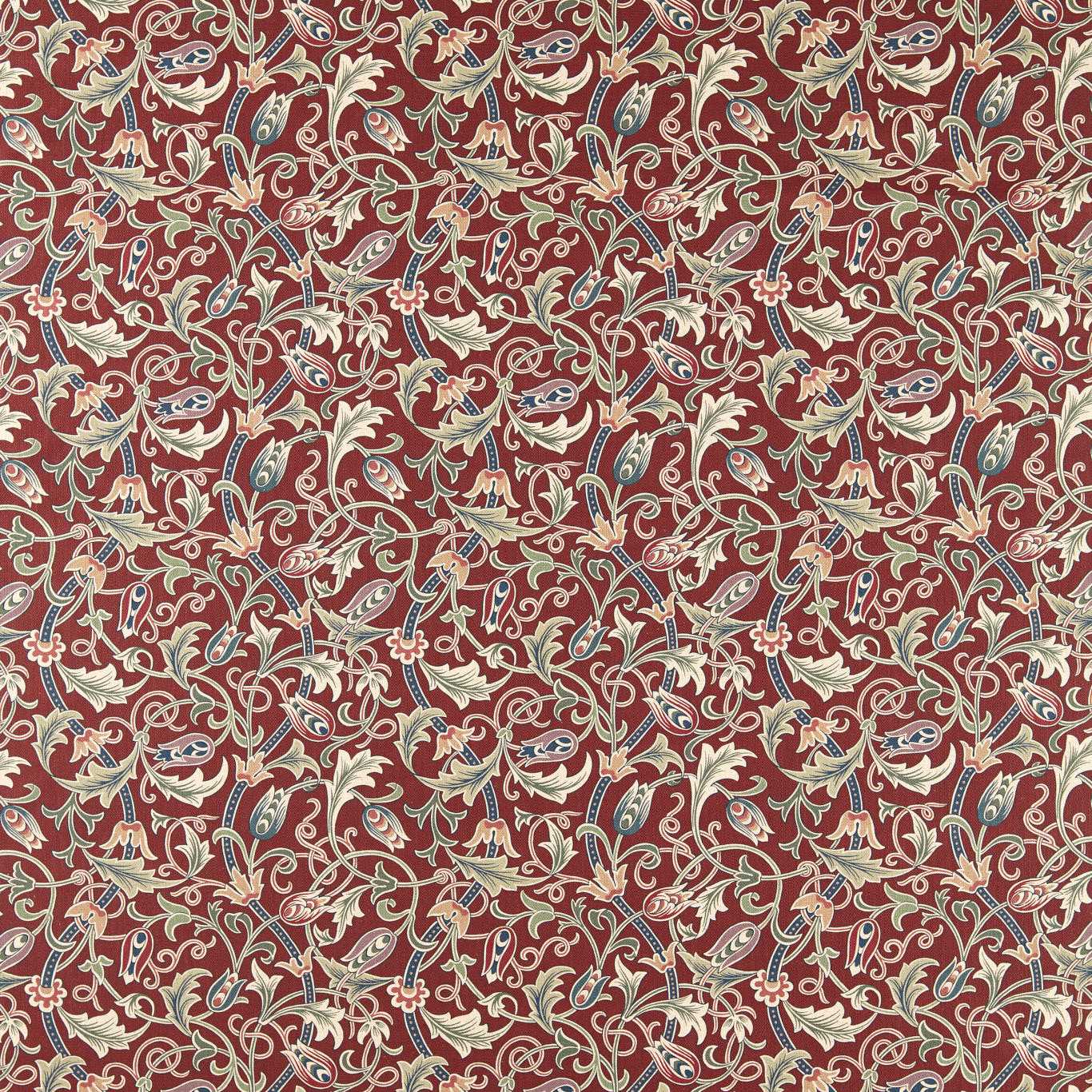 Scrolling Tulip Plum