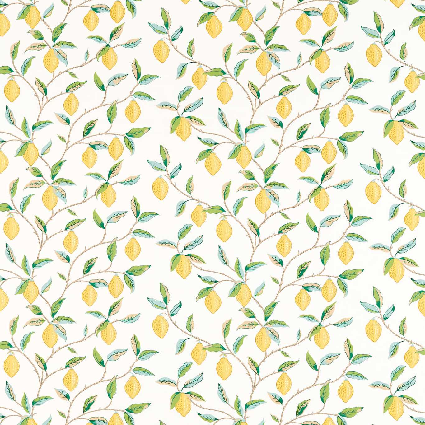 Lemon Tree Lemon/ Bayleaf