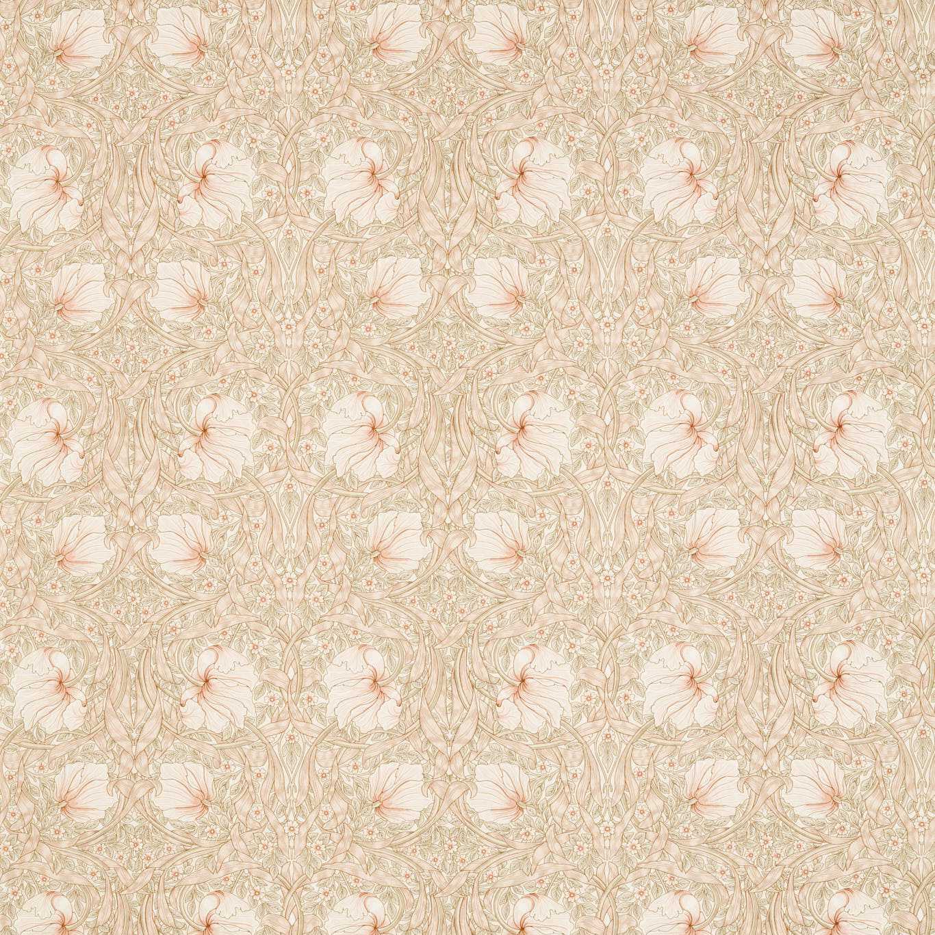 Pimpernel Wide Width Soft Pink