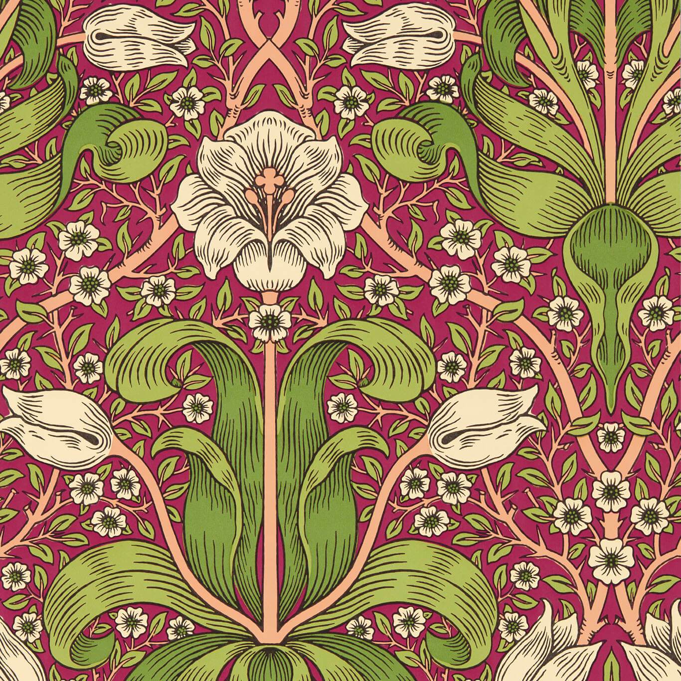 Spring Thicket Maraschino Cherry