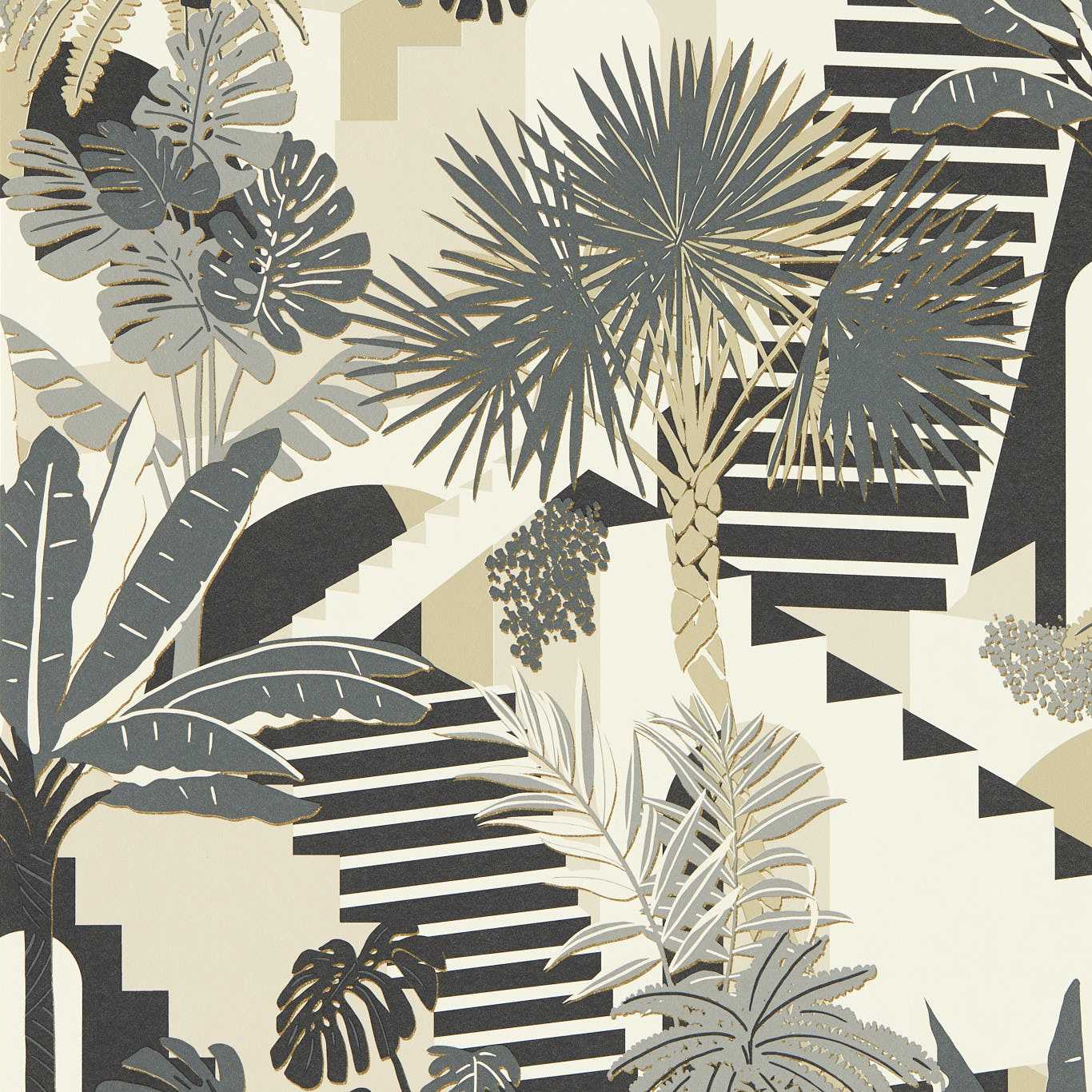 Malindi Charcoal